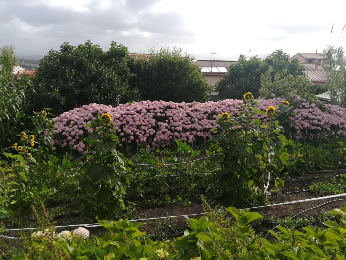 Affitta Camere Casa Delle Rose Villanova Monteleone Dış mekan fotoğraf
