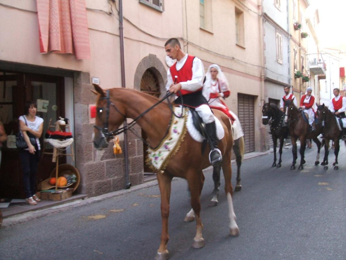 Affitta Camere Casa Delle Rose Villanova Monteleone Dış mekan fotoğraf