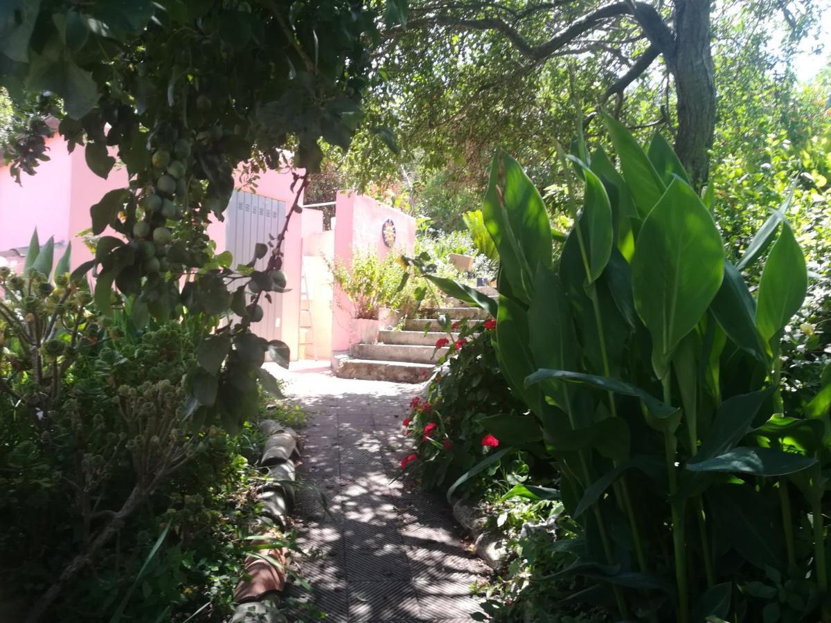 Affitta Camere Casa Delle Rose Villanova Monteleone Dış mekan fotoğraf